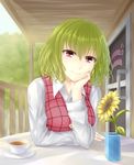  bad_id bad_pixiv_id buttons cup door flower green_hair head_rest kazami_yuuka long_sleeves looking_at_viewer pink_eyes pov_across_table primamiya shirt short_hair smile solo sunflower sunlight table teacup touhou vase vest 