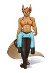 2024 absurd_res anthro big_breasts bikini bikini_top breasts brown_body clothing eyebrow_scar eyebrows facial_scar female finfenart hi_res kangaroo looking_at_viewer macropod mammal marsupial muscular muscular_female orange_eyes pouch_(anatomy) ramona_(cosmicroo) scar skinsuit solo swimwear thick_thighs tight_clothing two-piece_swimsuit walking wetsuit