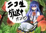  bad_id bad_pixiv_id branch food fruit hinanawi_tenshi isegawa_yasutaka leaf long_hair niconico peach sitting smile solo touhou translated 