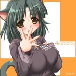  animal_ears brown_eyes cat_ears cat_tail copyright_request green_hair non-web_source short_hair solo sweater tail tonpuu 