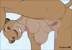  anthrofied anus breasts butt clitoris disney feline female lion looking_at_viewer mammal nipples nude pussy sarabi smile solo spread_legs spreading the_lion_king vagabundo 