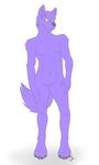  canine fur male mammal plain_background purple purple_fur sekotta solo standing unknown_artist white_background wolf young 
