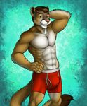  abs anthro arms_behind_head biceps boxers brown_fur bulge clothed clothing cougar daitenshi fangs feline flexing fur grin hair half-dressed male mammal muscles pecs plain_background pose smile solo standing teeth toned topless underwear vallhund white_fur yellow_eyes 
