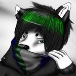  ambiguous_gender anthro black_fur black_hair black_nose canine clothing coat fur fursona green_eyes green_hair hair looking_at_viewer mammal maronthehusky plain_background simple_background solo white_background white_fur 