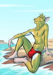  beach male mammal rat relaxing rodent seaside sitting_down solo speedo swimsuit underwear water 