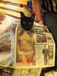  advertisement black_fur breasts cat clothed clothing english_text feline female fur human looking_at_viewer male mammal mixed_media newspaper nipples nude panties paper photo real skimpy solo text underwear 
