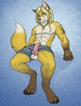  abs animal_genitalia anthro balls biceps blonde_hair bracelet brown_fur canine canine_penis claws clothed clothing digitigrade erection eyewear fox fur glasses hair half-dressed hindpaw jewelry knot looking_at_viewer male mammal muscles necklace paws penis pinup pose shorts solo thestory toes topless 