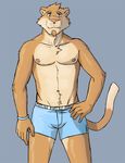  beard blue_eyes brown_fur clothed clothing facial_hair feline fur grey_background half-dressed looking_at_viewer male mammal muscles orange_fur pecs plain_background smile solo the_farewelled topless underwear white_fur 