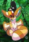  ambiguous_gender avian bird black_fur blondefoxy canine chest_tuft fennec feral forest fox fur mammal one_eye_closed outside tongue tongue_out toucan tree tuft wings 