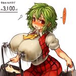  belly breasts green_hair holding huge_breasts kazami_yuuka lactation looking_at_viewer milk perky_breasts plaid plaid_vest plump red_eyes sachito solo touhou vest 