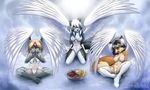  abluedeer angel_wings border_collie canine cat darkduck64 dog feline fox fruit janice lingerie rachel sarah wings 