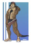  anthro body_hair bulge chest_hair clothed clothing hat humanoid_penis looking_at_viewer male mammal muscular muscular_male mustelid otter penis pubes smile snoopjay2 solo standing underwear vein 