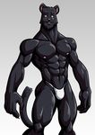  anthro biceps black_fur bulge claws clothed clothing feline fur half-dressed male mammal muscles nipples panther pecs pose smile solo speed standing thong topless underwear wolfiecanem yellow_eyes 