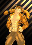  anthro biceps big_muscles clothed clothing feline fur half-dressed male mammal muscles nipples orange_fur pants pecs pose solo standing tenebear tiger topless 