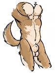  anthro balls brown_fur canine canine_penis flaccid fur kelaii male mammal muscles nude pecs penis plain_background pose sheath solo standing torso white_background 