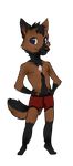  alpha_channel brown_fur canine clothed clothing dog fur half-dressed jijix male mammal solo topless underwear 