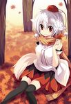  animal_ears black_legwear blush hat inubashiri_momiji leaf looking_at_viewer maple_leaf maturiuta_sorato red_eyes scarf short_hair sitting smile solo tail thighhighs tokin_hat touhou white_hair wolf_ears wolf_tail 