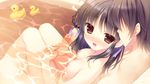  1girl :d bathtub black_hair blush braid breasts brown_eyes censored faceless faceless_male game_cg hair_ribbon hair_rings hands_clasped highres kimi_e_okuru_sora_no_hana kitao_sekka mixed_bathing mosaic_censoring nipples nude open_mouth own_hands_together ribbon rubber_duck small_breasts smile water wet wet_hair yukie_(peach_candy) 
