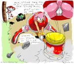  amy_rose angry boots breasts butt camel_toe clothing dialog english_text female gblastman green_eyes hair invalid_tag open_mouth panties pussy sega signature solo sonic_(series) text underwear 