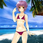  beach bikini blush brown_eyes day flat_chest koumo nagato_yuki purple_hair short_hair solo suzumiya_haruhi_no_yuuutsu swimsuit 