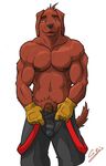  anthro balls biceps brown_fur bulge canine chestnuts_(artist) clothed clothing dog firefighter firefighter_uniform firehose fur gloves gus half-dressed handsome hose hunk looking_at_viewer male mammal manful manly muscles nipples pants pecs penis pose solo teasing topless undressing uniform vein 