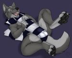  anthro bulge canine carifoxleopard fur grey_fur lying male mammal november on_back pawpads scarf simple_background solo spread_legs spreading tongue wolf 