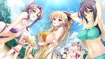  10girls 6+girls appare!_tenka_gomen_(matsuri)_koi_to_arashi_ha_ooedo_no_hana arms_up bare_shoulders bikini blindfold blonde_hair blue_eyes blue_hair blush breasts cloud clouds flat_chest game_cg green_eyes hair_ornament hairclip katagiri_hinata large_breasts light long_hair looking_at_viewer mole multiple_girls navel open_mouth orange_hair pink_eyes purple_hair short_hair sky smile standing sun swimsuit tree trees wink 