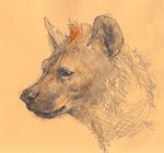  bad_id bad_pixiv_id hyena kobuushi lowres monochrome no_humans original sketch spot_color 