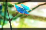  bad_pixiv_id blurry bug butterfly depth_of_field insect no_humans silk spider_web tokoroten_(hmmuk) touhou tree trojan_green_asteroid 