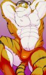  bulge feline male solo speedo tiger underwear unknown_artist 