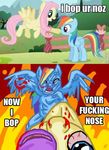  abuse angry blood equine female fire fluttershy_(mlp) friendship_is_magic horse my_little_pony pegasus pony rage rainbow_dash_(mlp) wings 