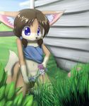  anthro blue_eyes canine chelsea_larimore clothing cub delicious_(artist) female fennec flower fox hair mammal panties pussy shirt smile solo underwear young 