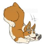  ambiguous_gender blue_eyes canine corgi dog eyewear feral flintintin flop goggles orange_fur plain_background tan_fur tongue tongue_out watermark white_fur 