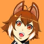  animal_ears antenna_hair blazblue brown_eyes brown_hair close-up face makoto_nanaya multicolored_hair open_mouth portrait short_hair solo souren squirrel_ears two-tone_hair 