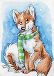  canine dog feral fur green_eyes male mammal orange_fur outside scarf silentravyn snow solo winter 