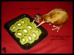  age_difference ambiguous_gender avian bird birds cute dolphydolphiana english_text food fruit humor joke kiwi kiwi_fruit kiwis model photo plate real text visual_pun 