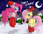  english_text equine female feral fluttershy_(mlp) friendship_is_magic hair hat holidays horse looking_at_viewer mammal moon my_little_pony night outside pegasus pinkie_pie_(mlp) pony presenting pussy text wings ziemniax 