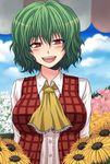  :d ascot blush breasts cloud day field flower flower_field green_hair highres kazami_yuuka large_breasts mokku open_mouth plaid plaid_vest red_eyes short_hair smile solo sunflower touhou upper_body vest 