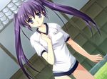  ar_forgotten_summer buruma dutch_angle game_cg gym_uniform long_hair nanao_naru non-web_source purple_eyes purple_hair shirakawa_tsumire solo twintails 