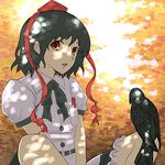  arioto bad_id bad_pixiv_id bird bird_on_leg black_hair crow dappled_sunlight hat looking_at_viewer open_mouth pen red_eyes ribbon shade shameimaru_aya short_hair sitting solo sunlight touhou 