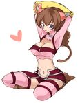  .hack//g.u. .hack//roots 1girl animal_ears bad_id bad_pixiv_id breasts brown_hair cat_ears cat_paws cleavage large_breasts midriff navel paws ponytail purple_eyes san_dai_wa_jou short_hair solo tabby_(.hack//) thighhighs 