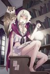  animal animal_on_shoulder bad_id bad_pixiv_id barefoot bird bird_on_shoulder book bookmark braid elf lantern long_hair mattaku_mousuke mouth_hold original owl pointy_ears sitting solo white_hair yellow_eyes 