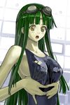  bad_id bad_pixiv_id breasts competition_swimsuit goggles green_eyes green_hair highres large_breasts long_hair nakabayashi_reimei one-piece_swimsuit ouka_nagisa sideboob solo super_robot_wars super_robot_wars_original_generation swimsuit wet yellow_eyes 