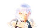  1girl blush claudia_hortensia die fate/zero fate_(series) hand_on_another's_face kotomine_kirei smile white_hair yellow_eyes 