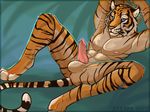  4_toes abs anus anyare arms_behind_head balls biceps big_muscles black_fur blue_eyes body_markings digitigrade erection feline flexing fur hindpaw knot lying male mammal markings muscles nipples nude on_back paws pecs penis sheath solo spread_legs spreading stripes tiger toes whiskers 