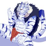  anthro baifu balls biceps blaze_union body_markings clothing erection feline fur inviting loincloth looking_at_viewer male mammal markings muscles pecs penis pose seitora sitting solo stripes tiger underwear unknown_artist white_tiger 