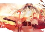  bad_id bad_pixiv_id bird bunching_hair cattail dress flamingo flock head_out_of_frame light_smile long_hair nineo original plant solo twintails very_long_hair wading water white_dress 