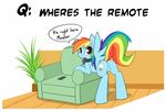  collar equine female friendship_is_magic horse lost_the_god_damn_remote my_little_pony pet pet_dash pony rainbow_dash_(mlp) 