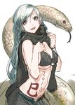  2013 :d bikini_top blue_hair breasts cape covered_nipples fang hair_between_eyes large_breasts long_hair looking_at_viewer open_mouth original ran'ou_(tamago_no_kimi) red_eyes simple_background sketch smile snake solo tongue underboob white_background 