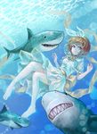  barefoot blue_eyes bow brown_hair dress hair_bow momori original shark short_hair solo underwater wet wet_clothes white_dress 